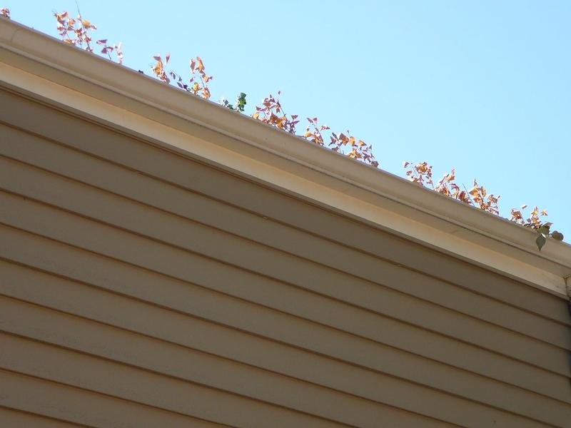 Gutter Repair in Appleton