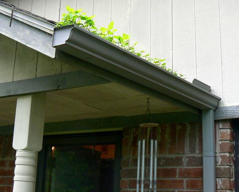 Gutter Guards in Appleton